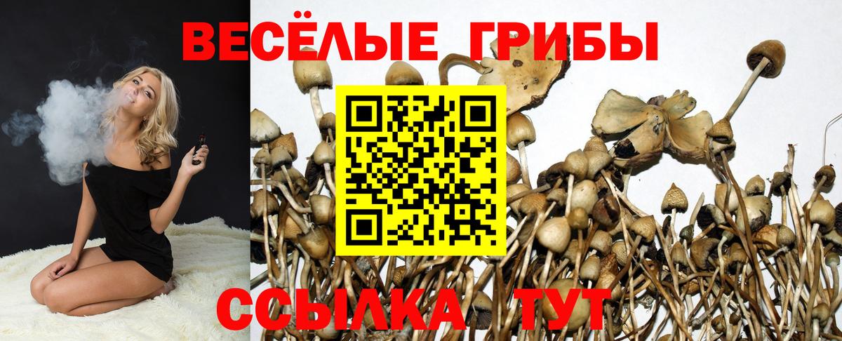 закладки  Вход с VPN  Псилоцибиновые грибы GOLDEN TEACHER  Череповец  Псилоцибиновые грибы Psilocybe 
